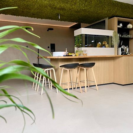 Terp Bed and Breakfast Poperinge Buitenkant foto